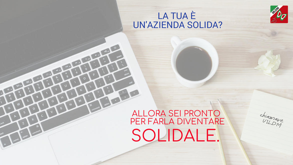 azienda_solida_le